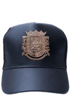 Load image into Gallery viewer, Puerto Rican gold coat of arms snapback cap
