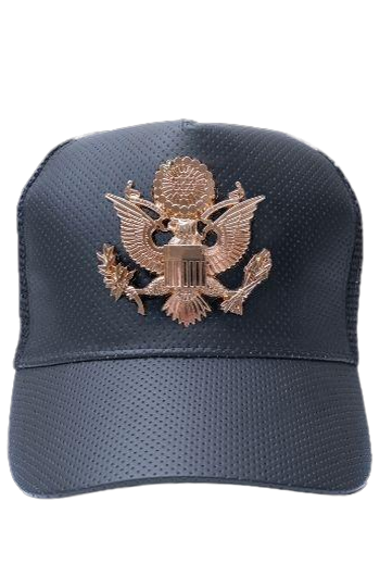 USA gold coat of arms snapback cap
