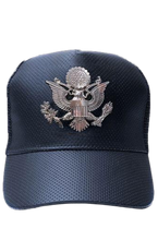 Load image into Gallery viewer, USA silver coat of arms snapback hat
